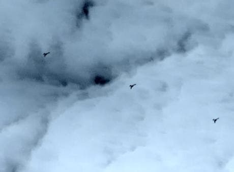 Baykar’dan yeni güç: K2 Kamikaze İHA sürü halinde uçtu