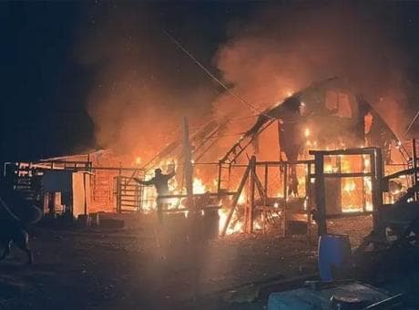 Bursa'daki çiftlikte feci yangın! 580 hayvan öldü