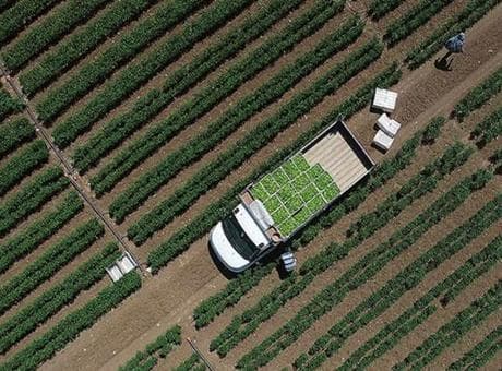 Tarımsal girdi fiyat endeksi ocakta arttı