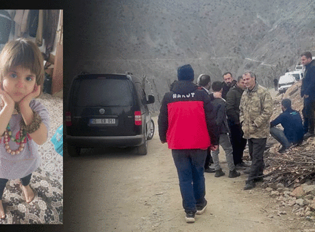 Bitlis'te seferberlik! 5 yaşındaki Rabia her yerde aranıyor