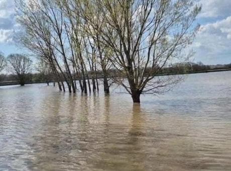 Edirne’de şiddetli yağmur: Meriç Nehri taştı, sular yollara ulaştı