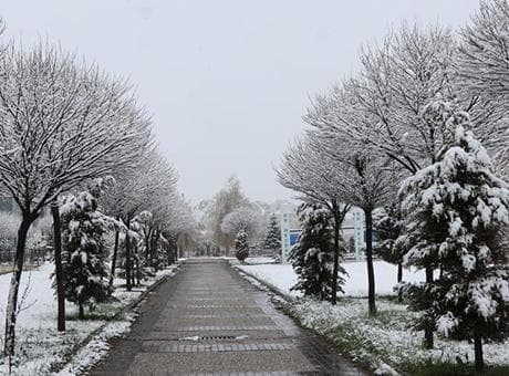 Fotoğraflar bugün çekildi! Mayıs ayında kar sürprizi... Kent merkezi bembeyaz