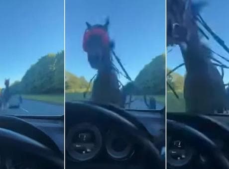 Kontrolden çıkan at ortalığı birbirine kattı! Lüks otomobile çarpıp camları tuzla buz etti!