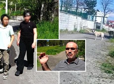 Köpeklerden kaçarken yaralanan arkadaşını kaderine terk etmedi! Küçük kahraman yaralı dostunu sırtında taşıdı