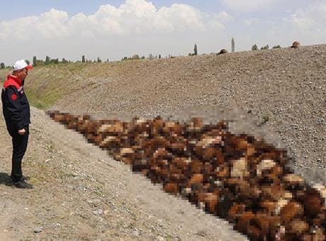 Gün ağardı, facia net görüldü: Böyle bir şey görmedik