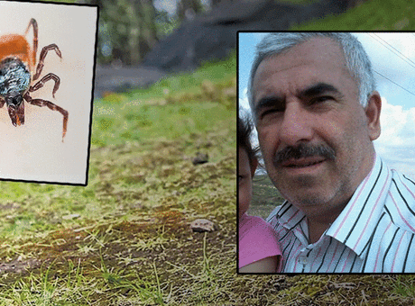 Sivas’ta kene alarmı! İstanbul’dan memleketine gitti: Madımak topladıktan sonra rahatsızlanıp öldü