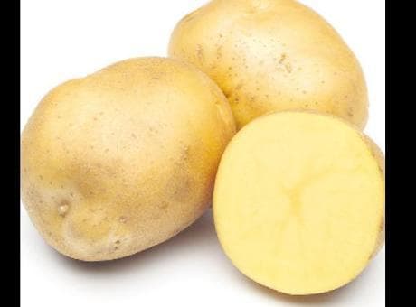 Avrupa’da patates şoku