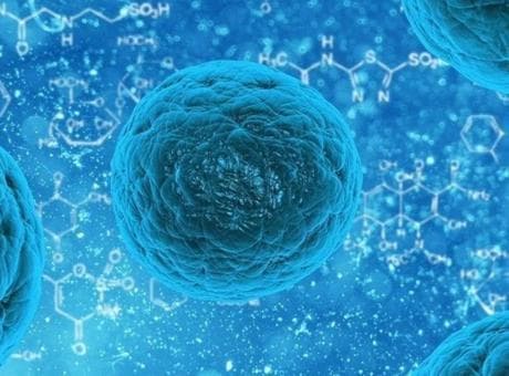 Hantavirüs'ün ardından Norovirüs kabusu! 1700 kişi karantinada