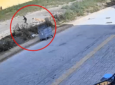 7 yaşındaki Yiğit’in korku dolu anları kamerada! Sokak köpekleri kovaladı: Geceleri ağlayarak uyanıyor