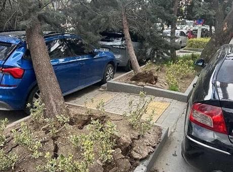 Ankara'yı fırtına vurdu: Ağaçlar devrildi, araçlar zarar gördü