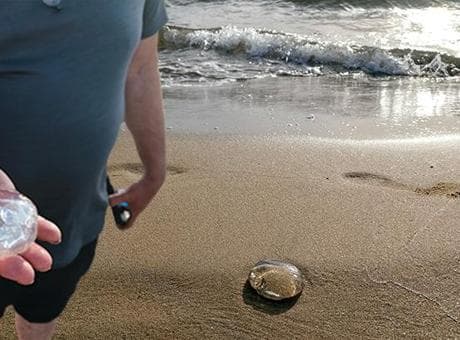 Kuşadası ve Selçuk Arasında Sıra Dışı Görüntü! Nedeni Ortaya Çıktı