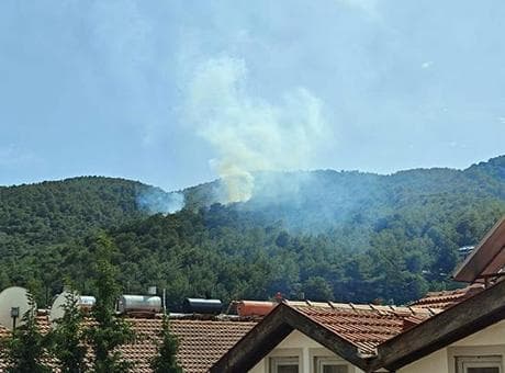 Muğla'da orman yangını