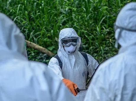Ölü sayısı 139'a ulaştı, virüs giderek yayılıyor! Ebola krizi büyüyor
