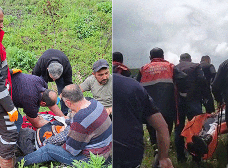 Yer: Sivas! Mantar toplarken ayı saldırısında parmağı koptu