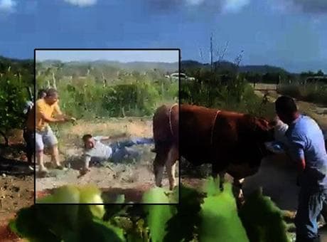Boğa kontrolden çıktı, ortalık karıştı! 6 kişiyi peşinden sürükledi, 1 kişiyi tekmeledi