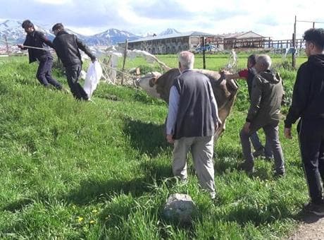 Kurban kesimi faciaya döndü! Kalp krizi geçiren 2 kişi hayatını kaybetti