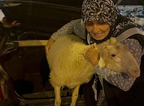 Bir an olsun yanından ayırmıyordu! Yanlışlıkla alınan 'Çorap', bayramda kurban olmaktan son anda kurtuldu