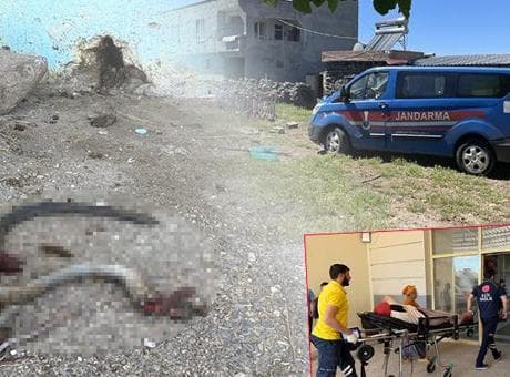 Şanlıurfa'da akılalmaz olay! Yılana ateş etti, 5 kişiyi vurdu