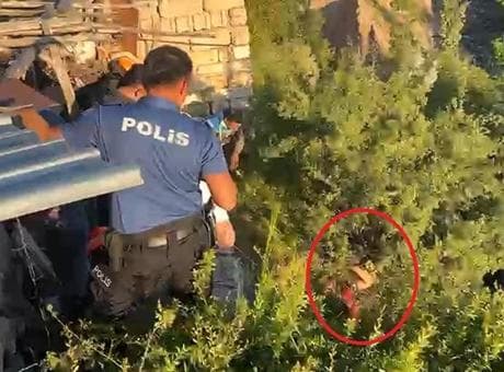 Dere yatağına düşerek ağaçta asılı kaldı! Tedaviyi reddedip hastaneden kaçınca ortalık karıştı