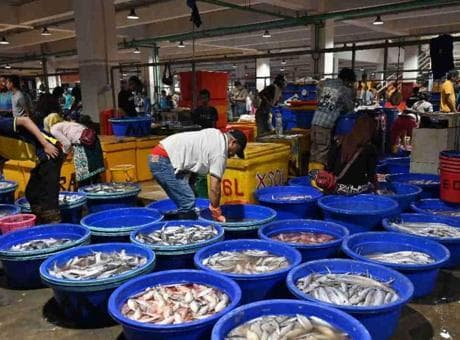 Önce domates ve çilekti, şimdi sıra balığa geldi! Ermenistan'a yeni 'durdurma' kararı