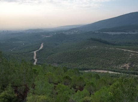 İzmir’de 5 aylık yasak başladı! Ormanlara giriş kapatıldı