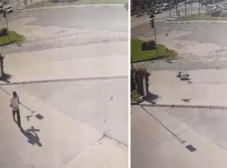Elazığ’da ilginç anlar kameraya yansıdı! Kargadan kaçarken taklalar attı