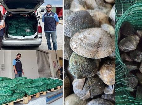 Kapıkule Sınır Kapısı'nda kaçak akivades operasyonu! Kesilen ceza dudak uçuklattı