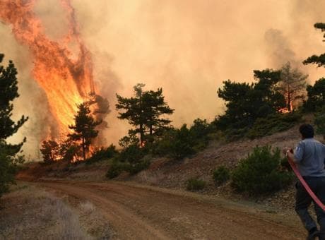 Ateş yakana ağır ceza! Eskişehir ve Afyonkarahisar'da orman yasaklarının detayları belli oldu