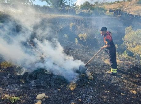 Siirt'te alevler fıstık bahçesini sardı! Dakikalar içinde zarar büyüdü