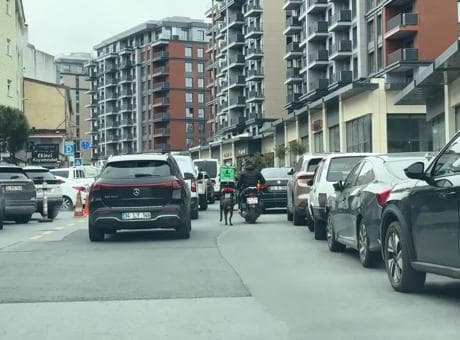 İstanbul'da dehşete düşüren görüntü! Motosiklete bağladığı köpeği metrelerce koşturdu