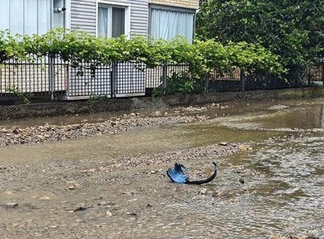 Ordu'da hayat durdu! Sağanak nedeniyle dakikalar içinde sokaklar göle döndü