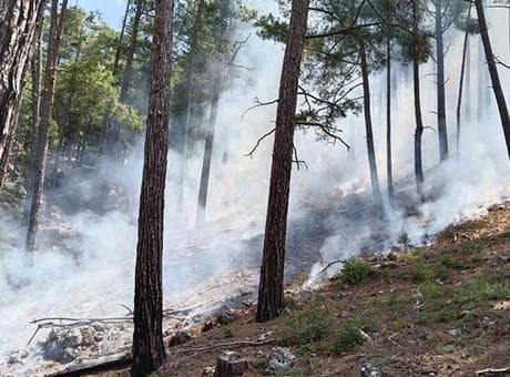 Antalya'da yıldırım düştü, ormanda yangın çıktı