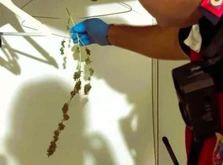 Denizli Barosu'na operasyon: Avukatlar cüppeyi çıkartıp, yerine uyuşturucu asmış