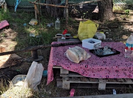 Ankara'da kan donduran olay! Eşini piknikte öldürdü