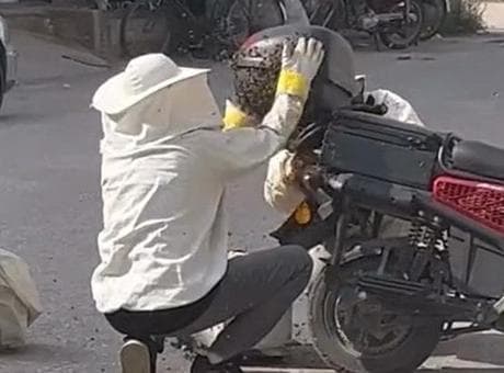 Motosikleti görenler gözlerine inanamadı! Yolun ortasında arıların istilasına uğradı