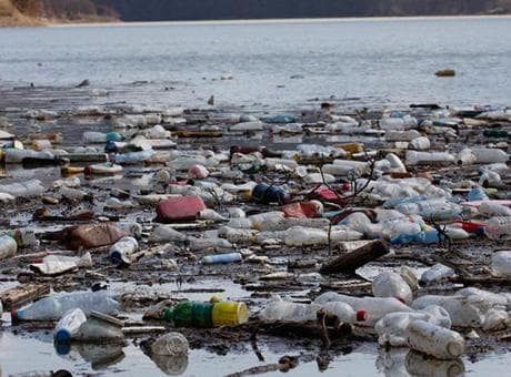Kirlenen nehri temizlemek istediler, başlarına gelmeyen kalmadı! 'Hapse girebiliriz'
