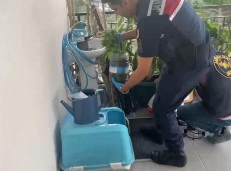 Jandarmadan zehir tacirlerine darbe! 5 ilde 'uyuşturucu' operasyonu: 341 gözaltı