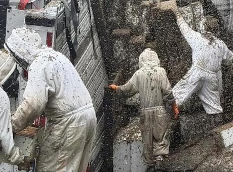 400 kovan taşıyan kamyon devrildi! 24 milyon arı etrafa dağıldı: 'Lütfen içeride kalın'