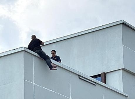 Dağdan topladı, hayatı karardı: 2 milyon lira ceza kestiler, kendimi atacağım