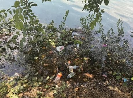 Adana'nın kalbindeki görüntü tepki çekti! Turistler gördüklerine inanamadı