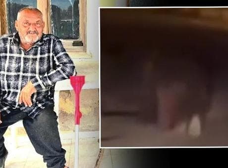 Balkondan alıp 20 metre sürükledi! İzmir'de ayı dehşeti... Yaşlı adam hayatını kaybetti