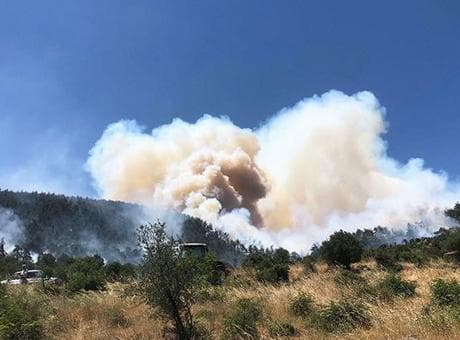 Balıkesir'de orman yangını! Alevler rüzgarın etkisiyle hızla yayıldı