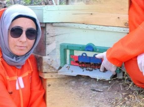 'Kanserin şifası' diyerek keşfetti: Şiparişlere yetişemedik, kendimize bile ayıramadık