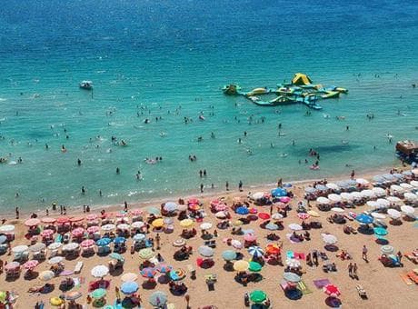 Tatilcilere kritik uyarı! Denizlerdeki sessiz tehlike: 'Hızla çoğalıyor'