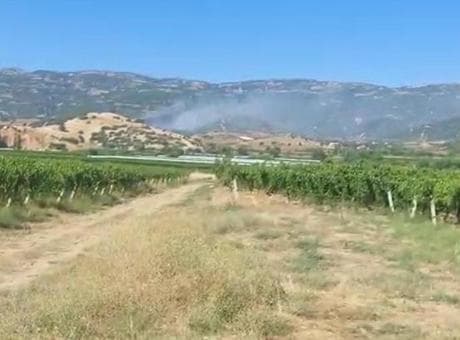 Manisa'da orman yangını! Havadan karadan müdahale başladı
