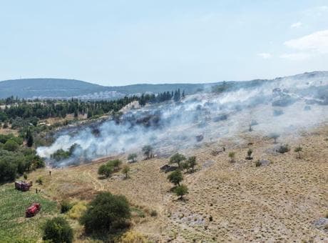 Muğla'da orman ve tarım alanında çıkan yangına müdahale ediliyor