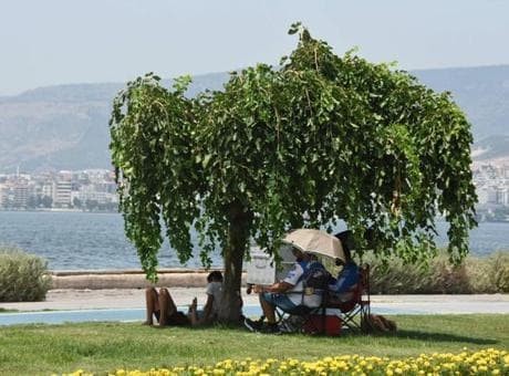 Kavurucu sıcak bekleyenlere iyi haber! Uzmanından şaşırtan İzmir açıklaması