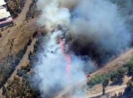 İzmir'de otluk alanda çıkan yangın ormana sıçradı