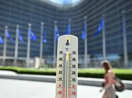 Belçika'da sıcak hava felaketi! Ölü sayısı 2 bini aştı
