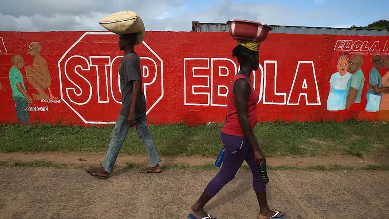 DSÖ alarma geçti: Nadir Ebola türü yayılıyor
